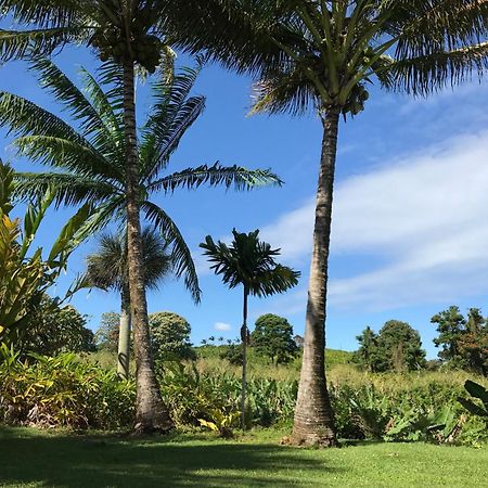 Island Goode'S - Luxury Adult Only Accommodation Near Hilo Papaikou Ngoại thất bức ảnh