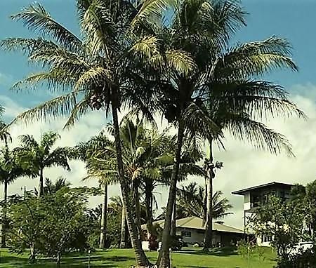 Island Goode'S - Luxury Adult Only Accommodation Near Hilo Papaikou Ngoại thất bức ảnh