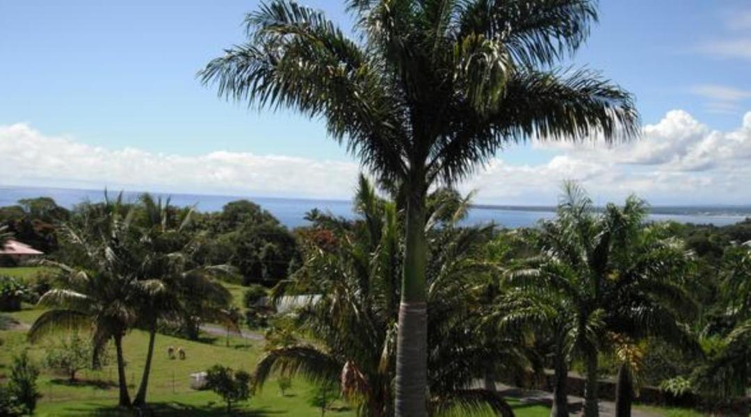 Island Goode'S - Luxury Adult Only Accommodation Near Hilo Papaikou Ngoại thất bức ảnh