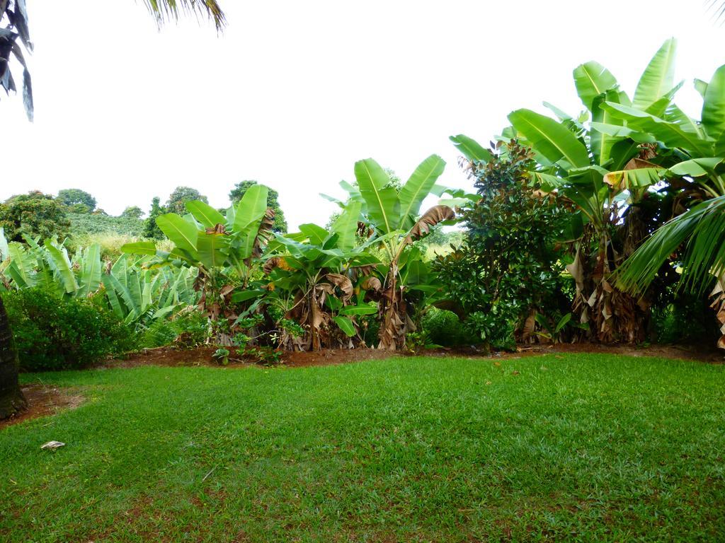 Island Goode'S - Luxury Adult Only Accommodation Near Hilo Papaikou Ngoại thất bức ảnh