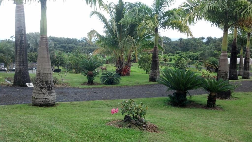 Island Goode'S - Luxury Adult Only Accommodation Near Hilo Papaikou Ngoại thất bức ảnh