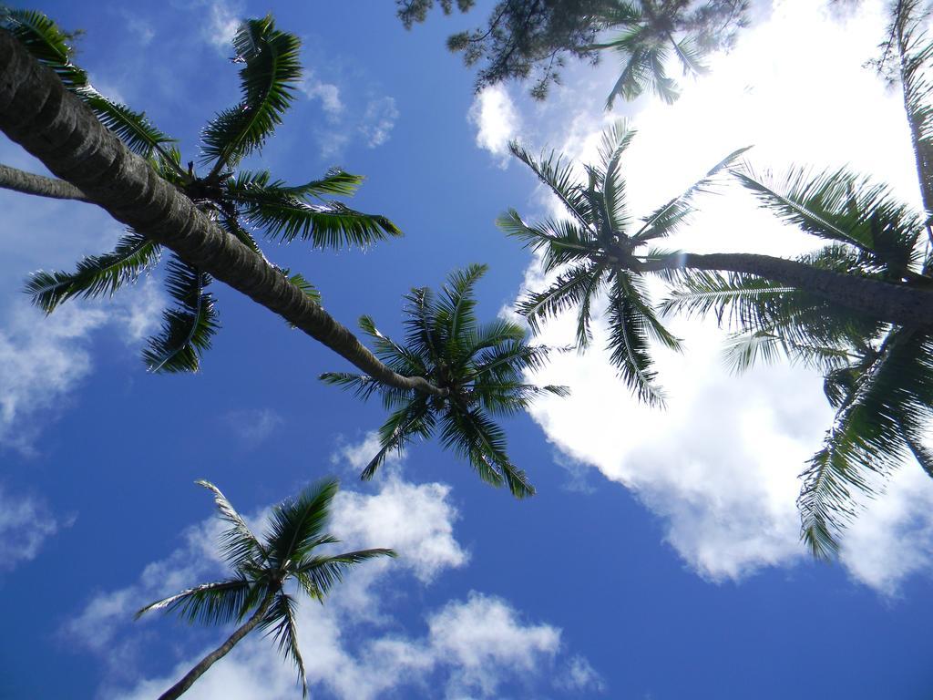 Island Goode'S - Luxury Adult Only Accommodation Near Hilo Papaikou Ngoại thất bức ảnh