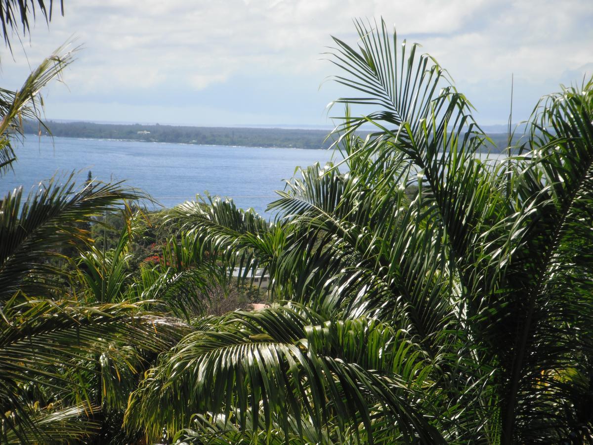 Island Goode'S - Luxury Adult Only Accommodation Near Hilo Papaikou Ngoại thất bức ảnh
