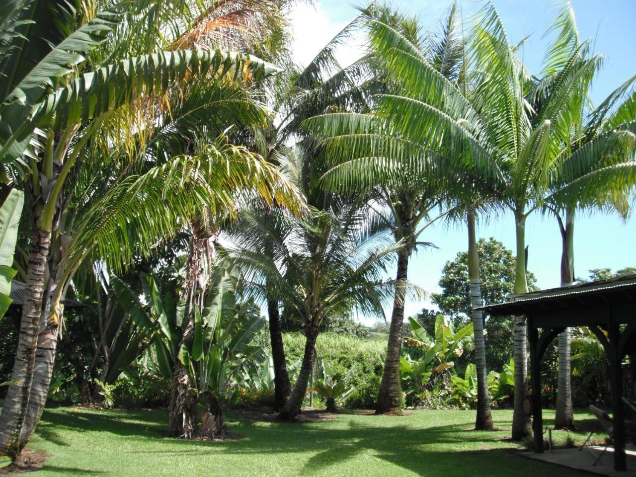 Island Goode'S - Luxury Adult Only Accommodation Near Hilo Papaikou Ngoại thất bức ảnh